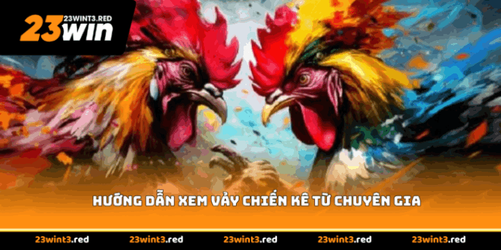 Hướng dẫn xem vảy chiến kê từ chuyên gia