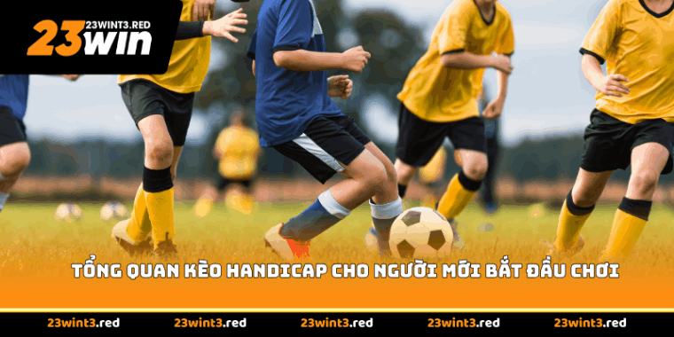 Tổng quan kèo Handicap cho người mới bắt đầu chơi